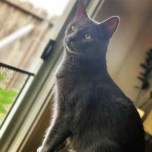 Meet your Posher, Esperanza